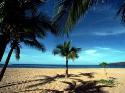 Beach Wallpaper