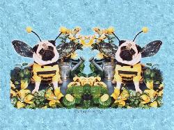 BeeApuG Wallpaper