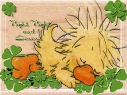 Night Night