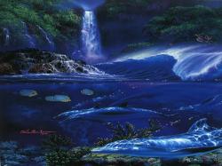 A DOLPHINS PARADISE