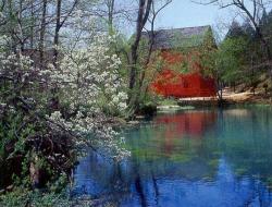 Alley Springs