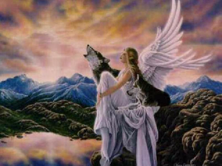 ANGEL & WOLF