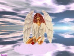 AngelW
