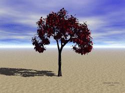 A Tree Of Life