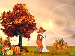 Bear thanksgiving