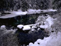 beatiful winter