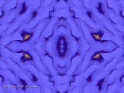 Blue Lotus