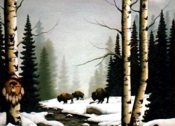 Buffalo-Roam
