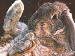 SomeBunnyLoveMe