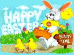 Bunny Trail
