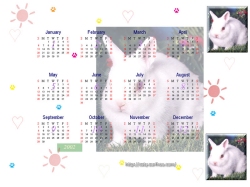 Calendar Year 2002 -Rabbit#1