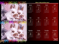Calendar Year 2002 -Rabbit#2