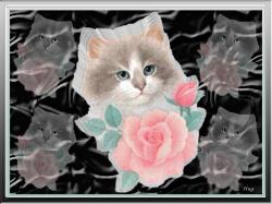 Cat and roses