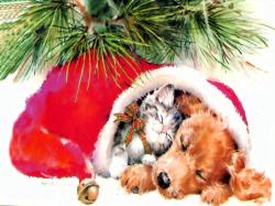 christmas 7