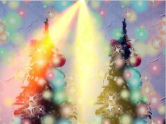 Christmas Lights!