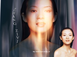 Actress of Crouching Tiger Hidden Dragon -  Zhang ZiYi #1