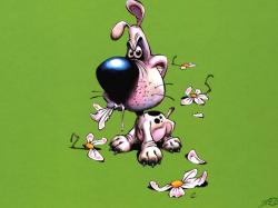 Crazy Dog