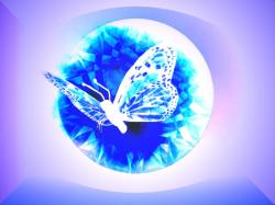 Crystal Butterfly