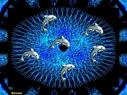 Dancing Dolphins