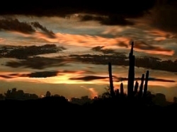 DESERT SUNSET