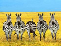 Dare to be Different