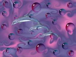 Dolphin Dreams