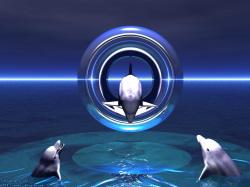 Dolphin Dreams