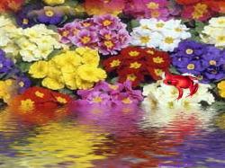 Drowned Flowers