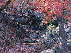 Dry Stream