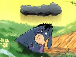 Eeyore in the rain