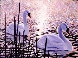 ELEGANT SWAN