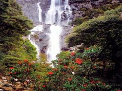 falls 2002