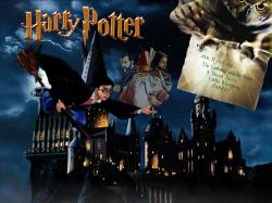 Fant Harry Potter