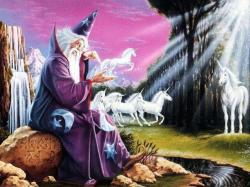 Fantasywizard