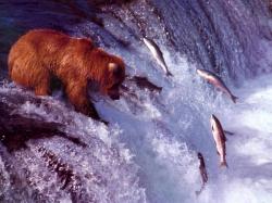 Fishing Trip