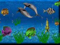 FISH