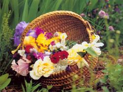Flower Basket