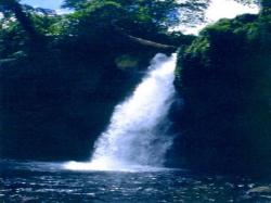Flowing Waterfall