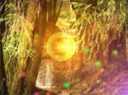 Forest Glow