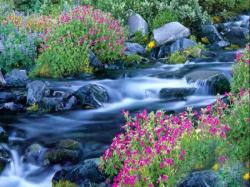 Garden Falls2