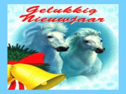 GELUKKIG NIEUWJAAR