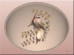 Golden Bird
