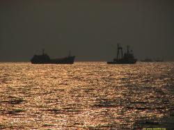 Golden Ships