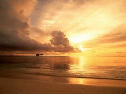 Golden Sunset