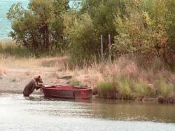 Gone Fishing