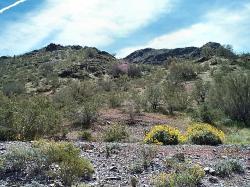 Arizona Mountain Scene