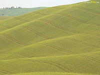 Tuscany Scenery from Italy