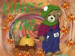 Harvest Bear