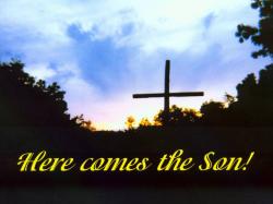 Here Comes The Son
