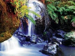 HIDDEN FALLS